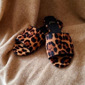 J Crew Slide 5.5 animal print